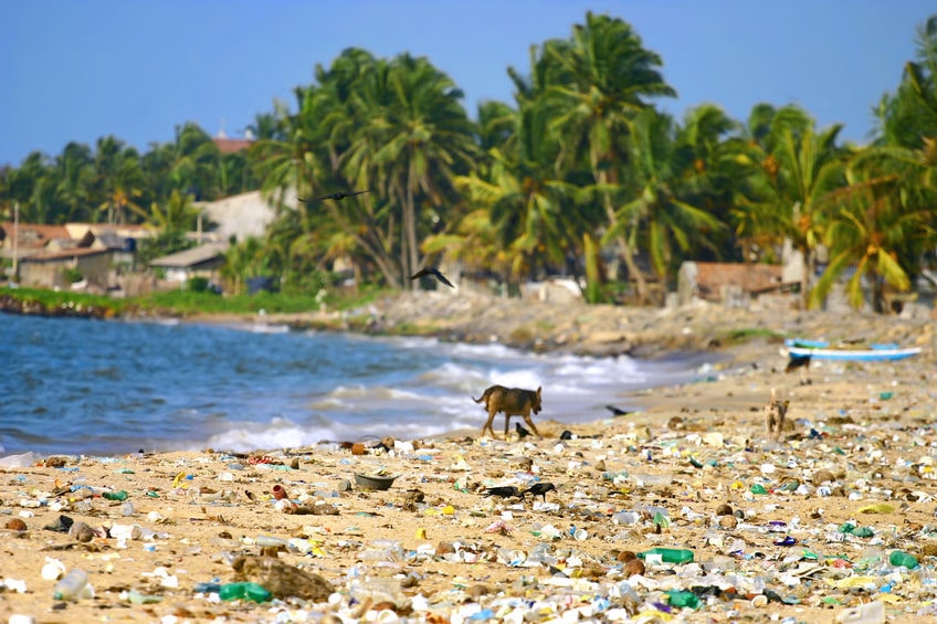 beach clean up