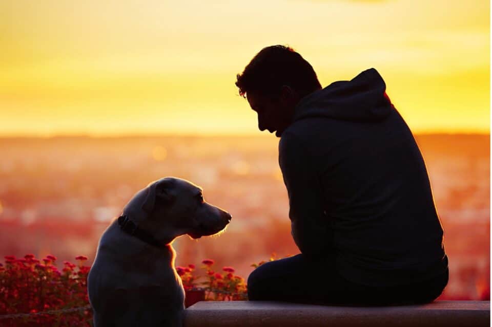 Pets Promote Emotional Wellbeing