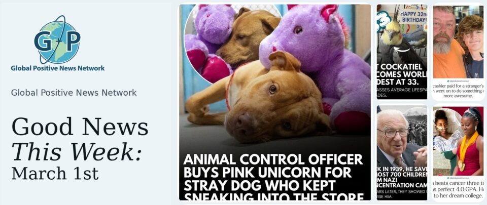 This week’s good news roundup. Animal Control Officer Buys Pink Unicorn For Stray Dog Who Kept Sneaking Into The Store To Steal it