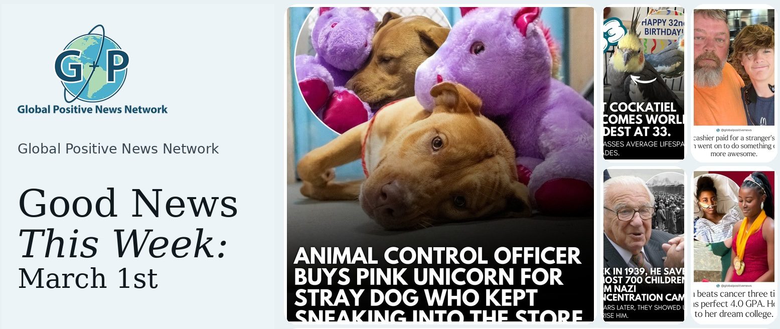 This week’s good news roundup. Animal Control Officer Buys Pink Unicorn For Stray Dog Who Kept Sneaking Into The Store To Steal it