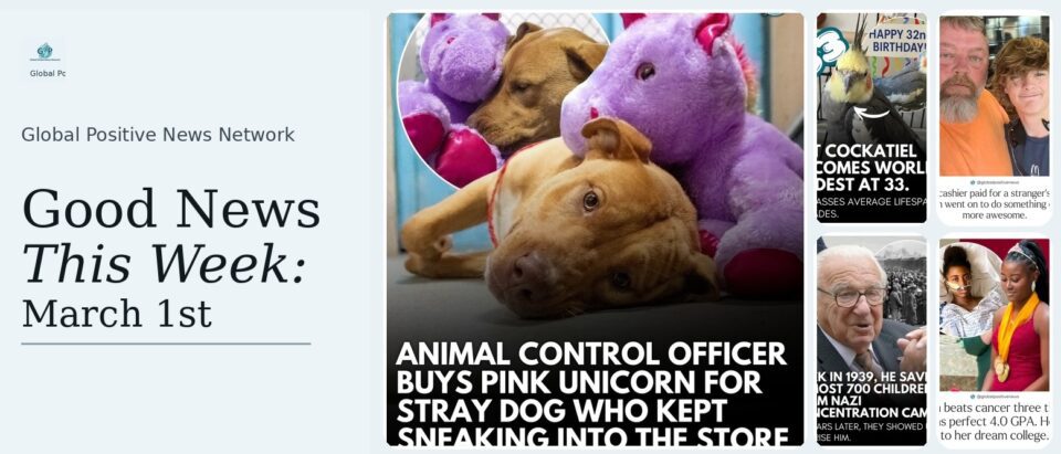This week’s good news roundup. Animal Control Officer Buys Pink Unicorn For Stray Dog Who Kept Sneaking Into The Store To Steal it