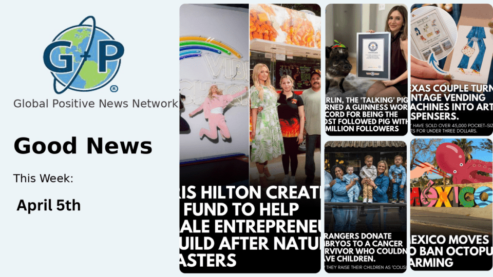 This week’s good news roundup. Paris Hilton Creates $1m fund to help femail entrepreneurs