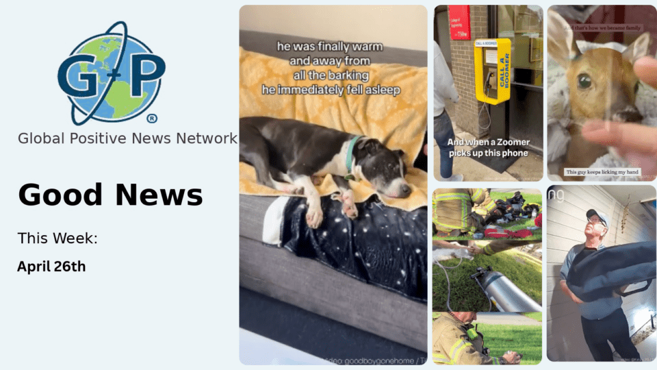 This week’s good news roundup. Firefighters rescue tiny kitten from burning bullding and bring it back to life with oxygen mask