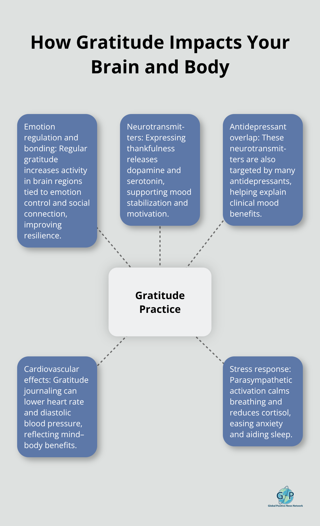 Hub-and-spoke showing how gratitude practice affects brain regions, neurotransmitters, cardiovascular function, and stress hormones. - daily gratitude reflections