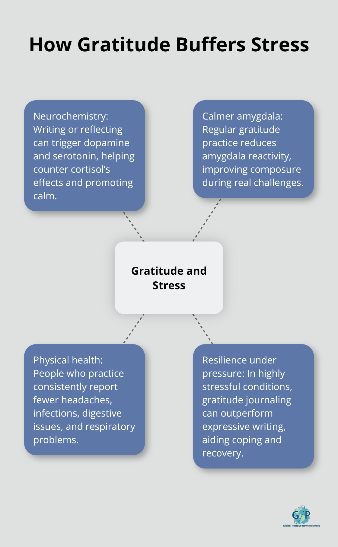 Diagram showing how gratitude practices reduce stress through neurochemistry, calmer amygdala responses, and physical health benefits. - morning gratitude routines