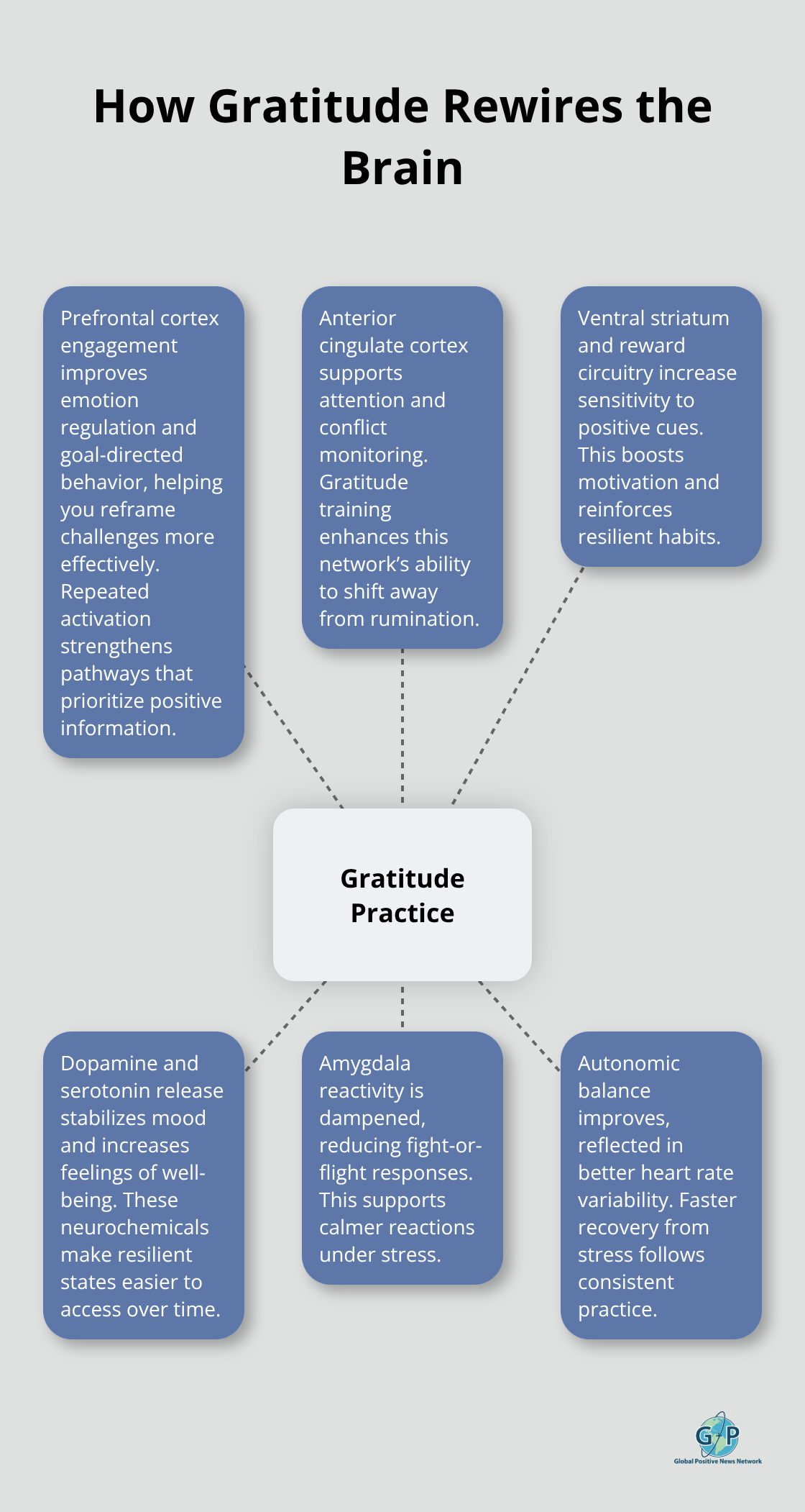 Diagram showing how gratitude affects brain regions and stress systems - Healing through gratitude