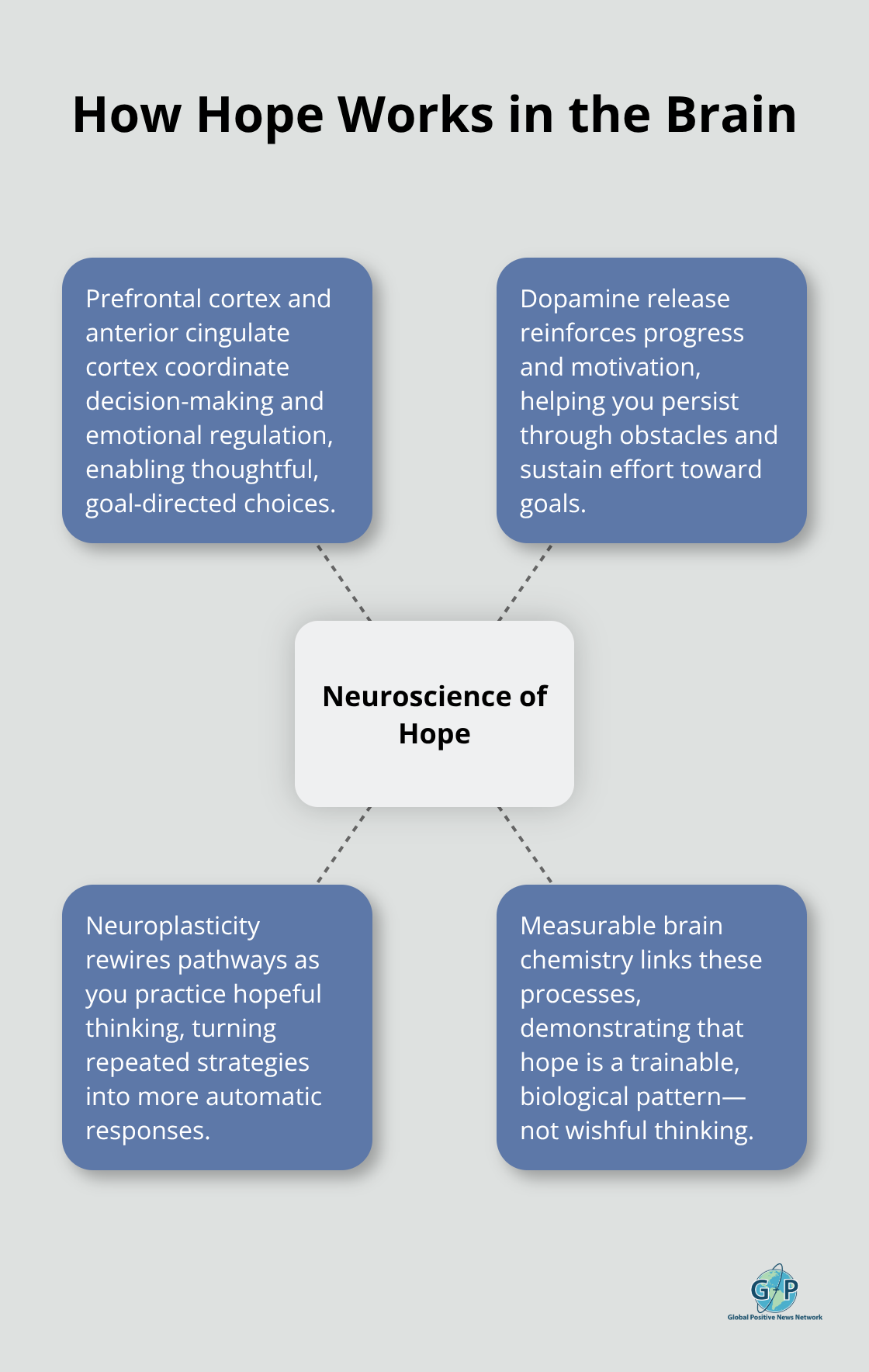 Diagram showing how neuroplasticity, key brain regions, and dopamine reinforce hopeful thinking. - Optimism training