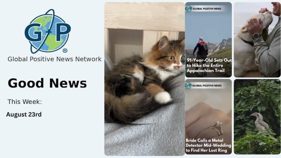 This week’s good news roundup. Global Positive News: The world's oldest cat. Thirty-one years young and still going strong.