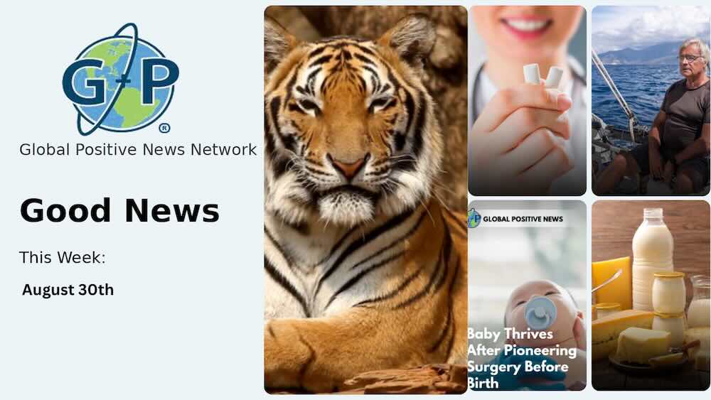 This week’s good news roundup. Global Positive News: Full-fat dairy may. not be the health villain we thought