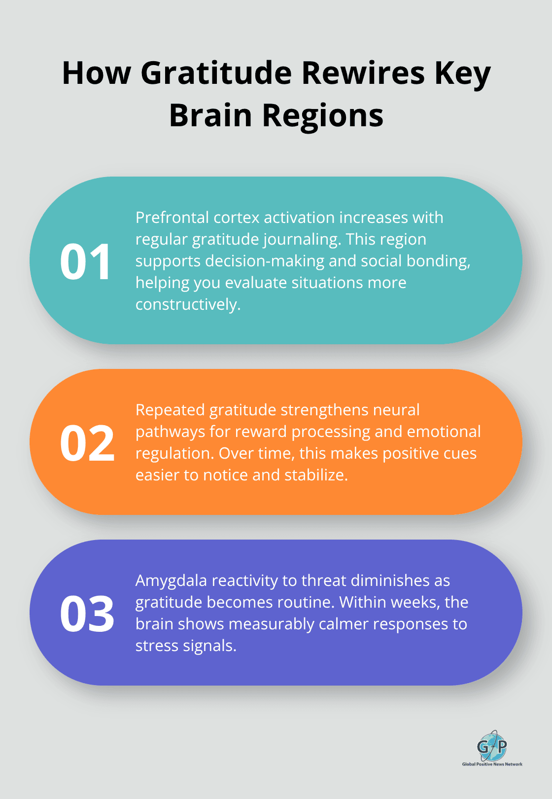 Three key brain changes linked to consistent gratitude practice: prefrontal activation, stronger reward/emotion pathways, and calmer amygdala response.