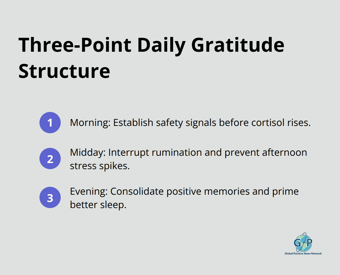 Compact list of morning, midday, and evening gratitude touchpoints and their purposes. - daily gratitude reminders