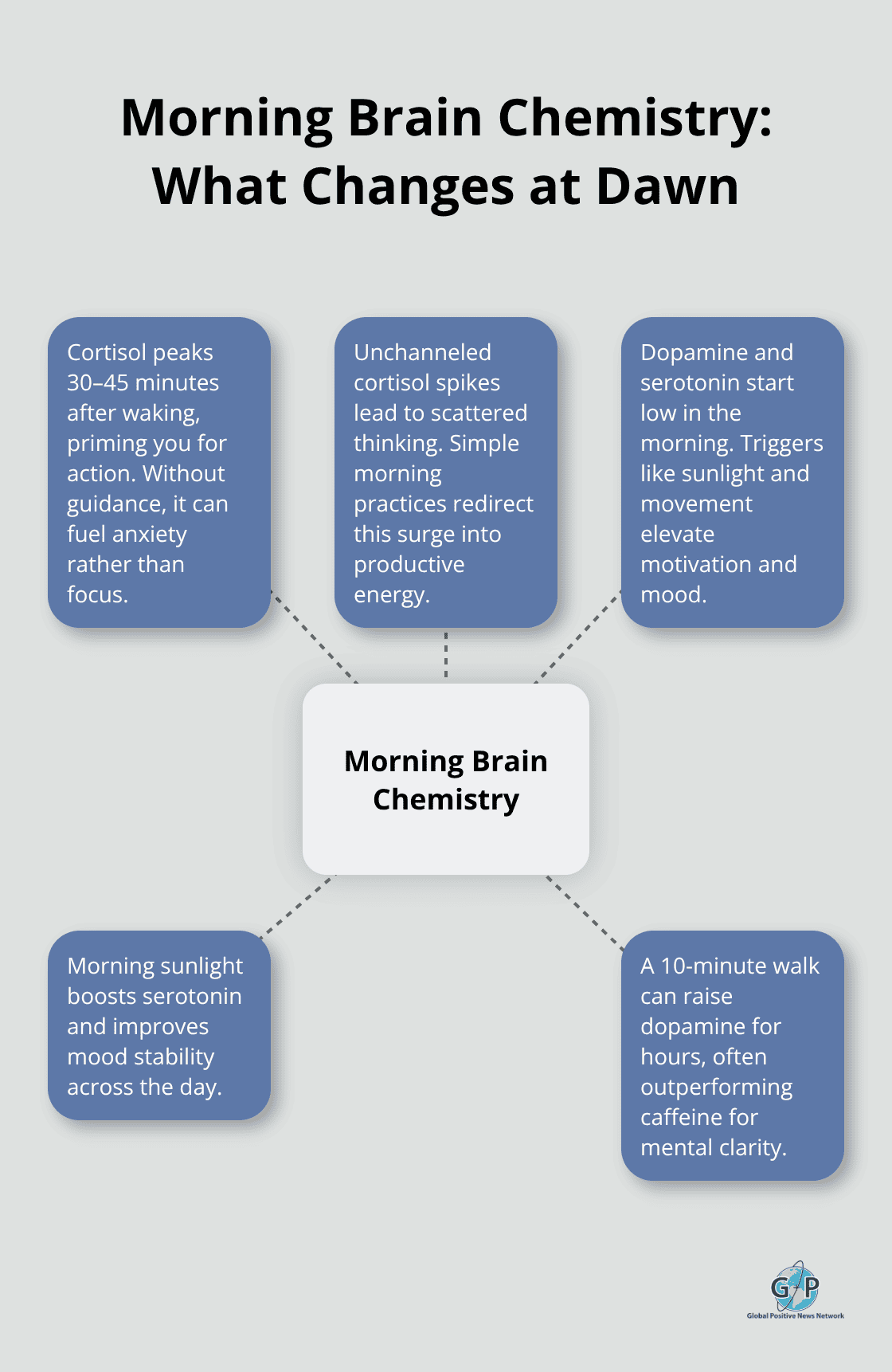 Infographic showing key morning neurochemical shifts and their effects