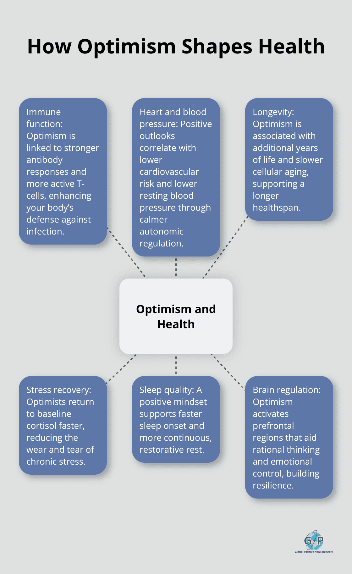 Diagram showing optimism at the center with spokes for immune strength, heart health, longevity, stress recovery, sleep quality, and brain regulation. - wellbeing through optimism