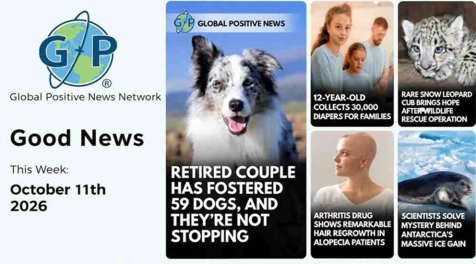 This week’s good news roundup. Global Positive News: Retired Couple Has Fostered 59 Dogs, and They're Not Stopping