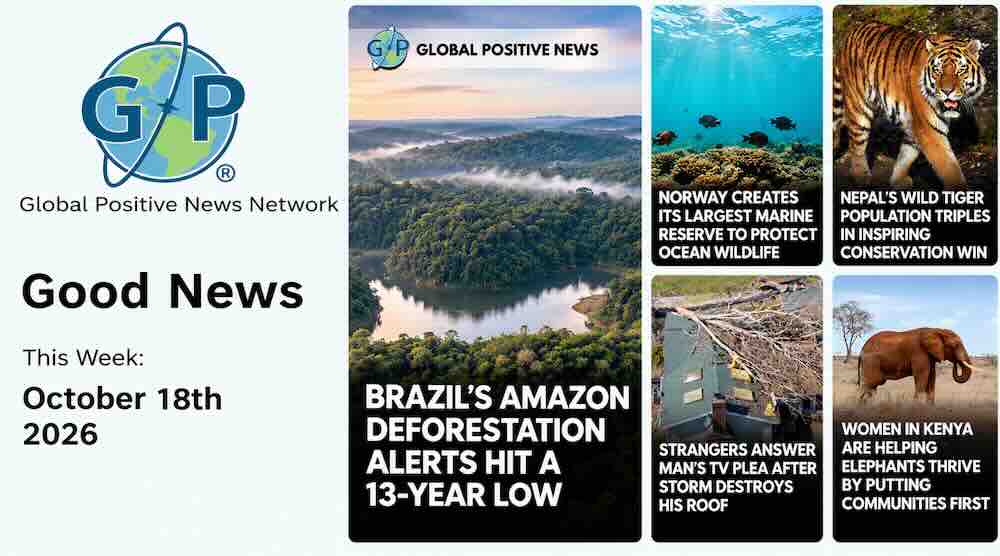 From encouraging news about the Amazon rainforest to inspiring wildlife conservation efforts and neighbours helping one another, there's plenty of good news to celebrate this week.