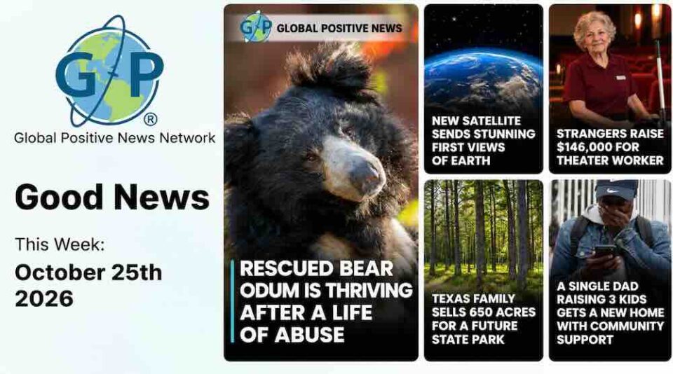 From a rescued bear enjoying a peaceful new life to strangers raising thousands of dollars for a hardworking cinema employee, there's plenty of good news to celebrate this week.