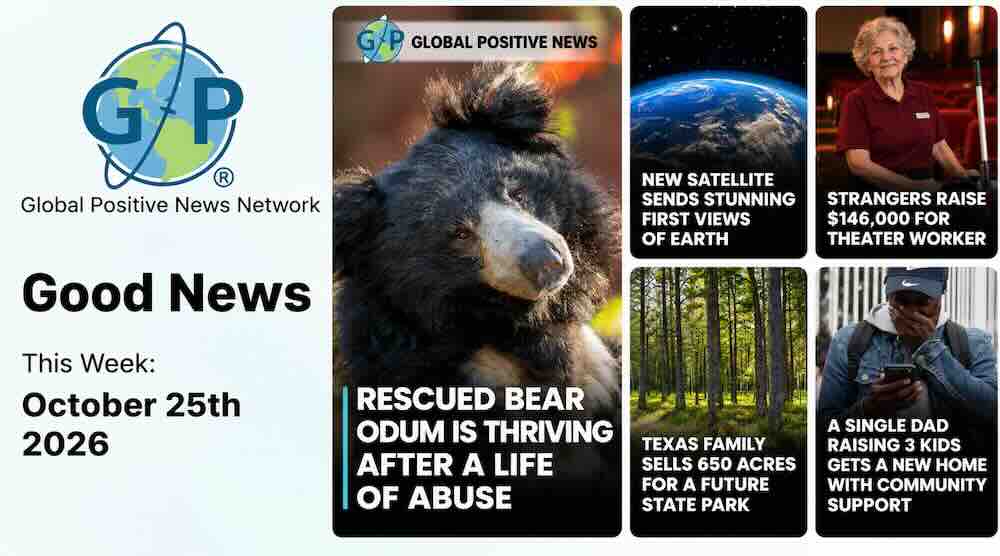 From a rescued bear enjoying a peaceful new life to strangers raising thousands of dollars for a hardworking cinema employee, there's plenty of good news to celebrate this week.